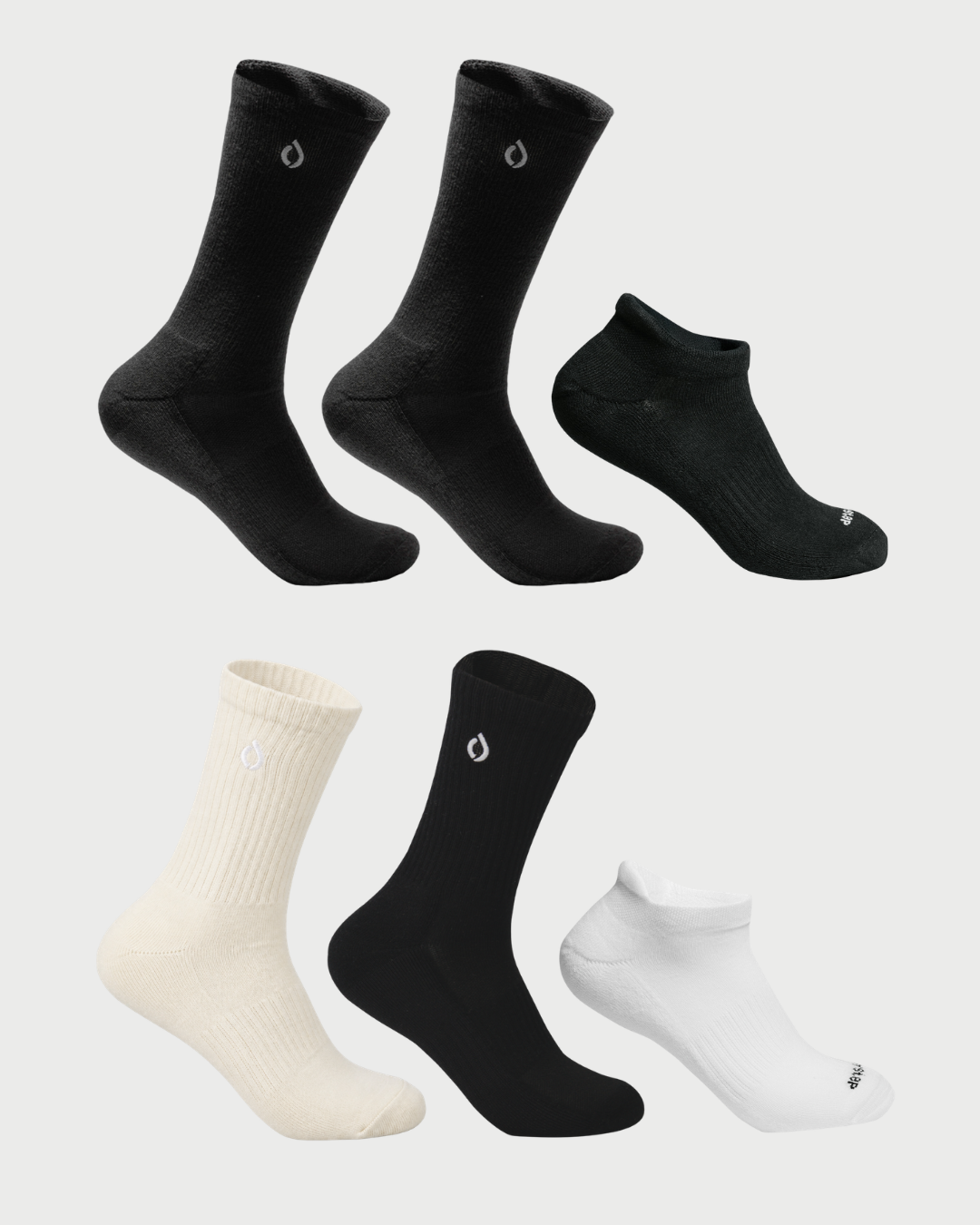 All-Day Rotation 6-Pack