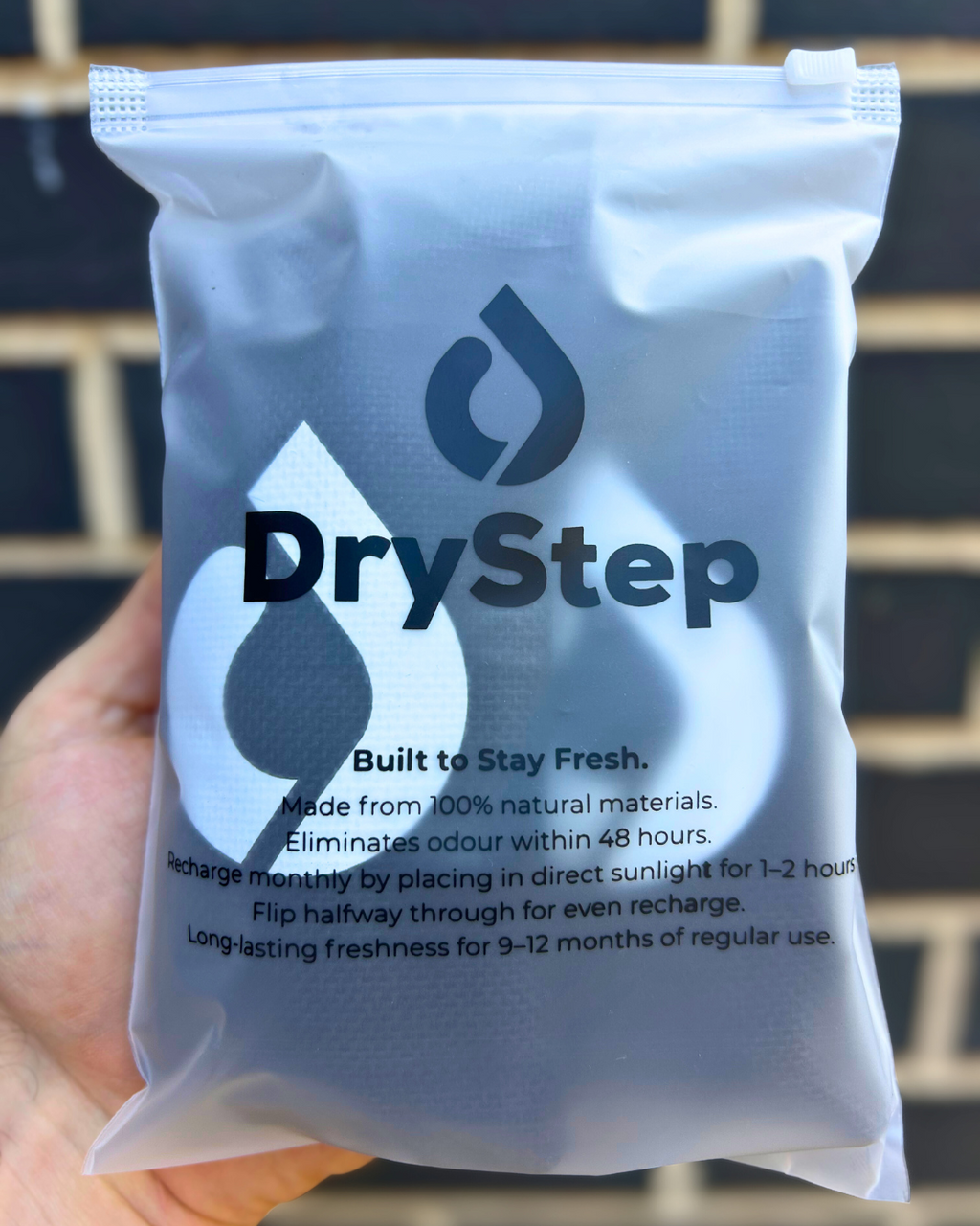 DryStep Charcoal Shoe Fresheners