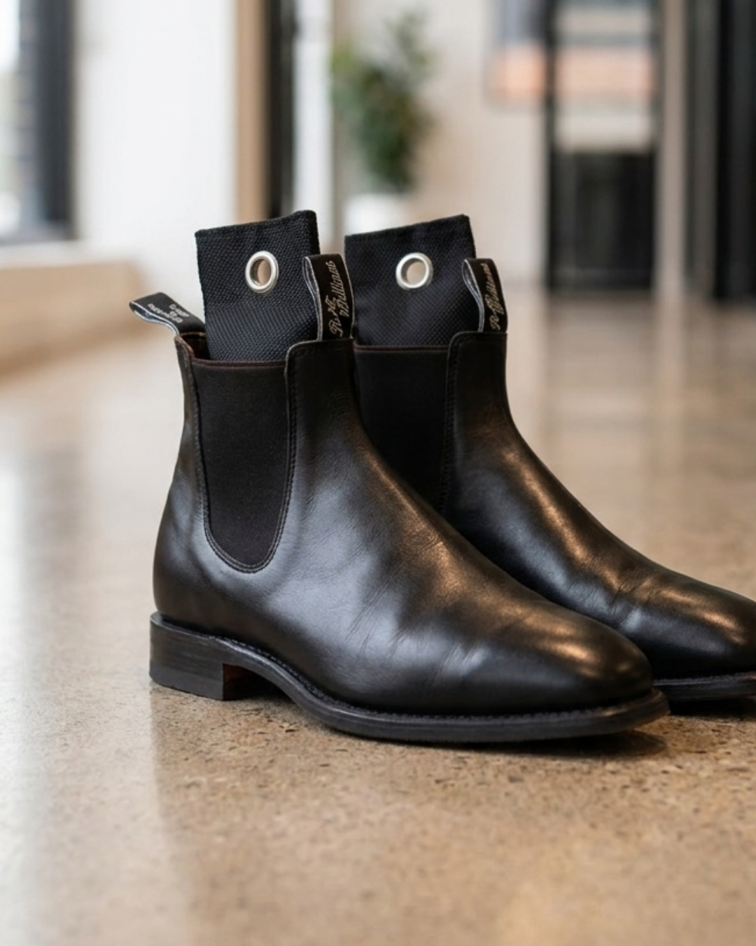 DryStep shoe fresheners in office dress RM Williams boots — fresh shoes every day, zero effort
